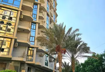 مقر إداري للإيجار - 3 غرف - بالدور 4