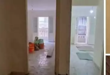 شقق للبيع - 3 غرف - بالدور 1