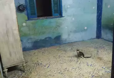 undefined undefined - 2 rooms - floor 2