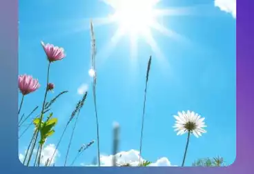 أرض مباني سكنية للبيع