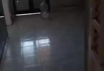 Apartments For rent - 3 rooms - floor 10