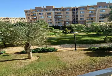 شقق للبيع - 3 غرف - بالدور 1