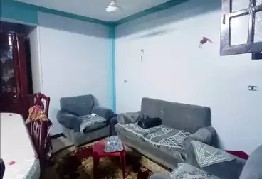 شقق مفروشة للإيجار - 4 غرف - بالدور 10