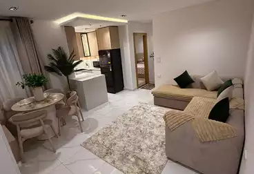 عقارات للبيع - 2 غرف - بالدور 12