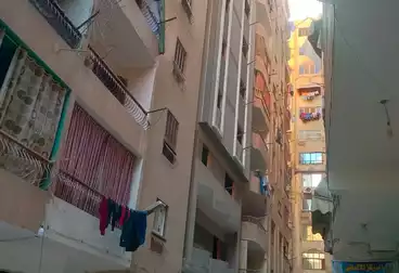 undefined undefined - 3 rooms - floor 6