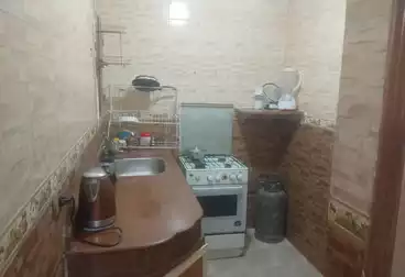 undefined undefined - 2 rooms - floor 7