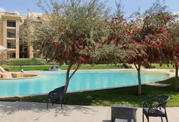 Apartments For rent - 4 rooms - floor 0