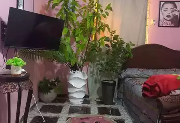 Studio For rent - 1 rooms - floor 7