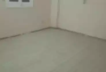 Apartments For rent - 3 rooms - floor 1