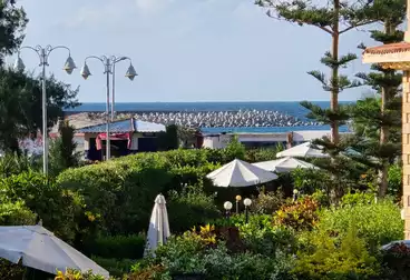 Apartments For sale - 2 rooms - floor 1