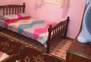 عقارات للإيجار - 2 غرف - بالدور 2