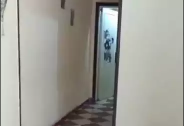 شقق للإيجار - 2 غرف - بالدور 1