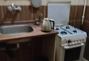 Serviced Apartments For rent - 3 rooms - floor 4