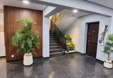 شقق للبيع - 3 غرف - بالدور 1