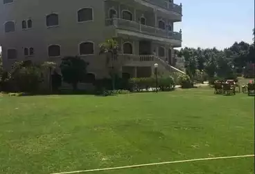 فلل للبيع - 15 غرف