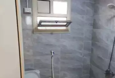 Apartments For rent - 1 rooms - floor 5