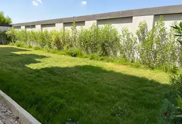 Villas For sale - 6 rooms