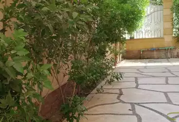 شقق للإيجار - 2 غرف - بالدور 0