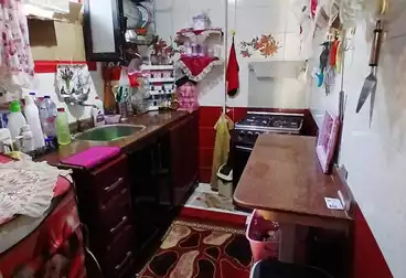 undefined undefined - 3 غرف - بالدور 7