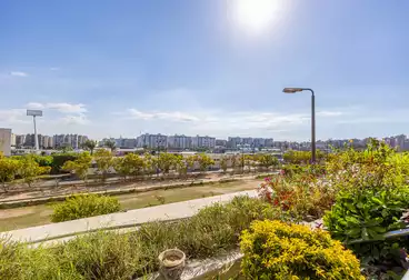 شقق للبيع - 3 غرف - بالدور 1