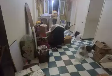 شقق للبيع - 3 غرف - بالدور 6