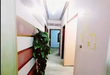 undefined undefined - 3 غرف - بالدور 1