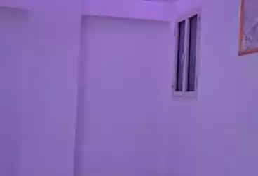 undefined undefined - 3 rooms - floor 1