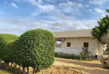 عقارات للبيع