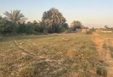 عقارات للبيع