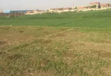 أرض زراعية للبيع