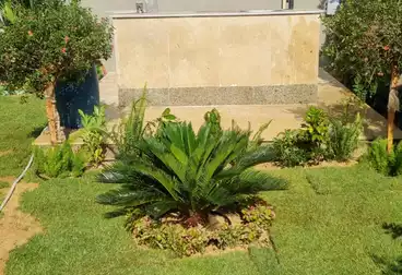 Duplex For sale - 3 rooms - floor 2