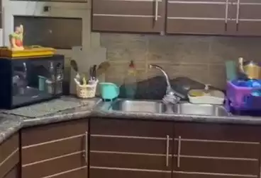 Apartments For sale - 3 rooms - floor 5