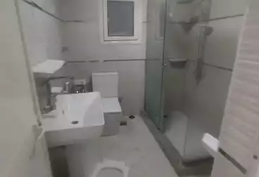 عقارات للإيجار - 3 غرف - بالدور 1