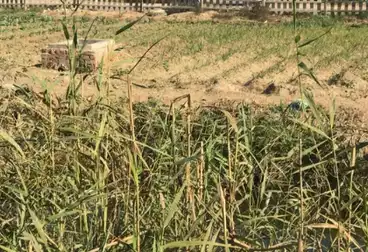 أراضي للبيع