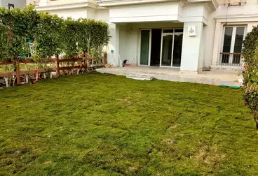 أي فيلا للإيجار - 6 غرف