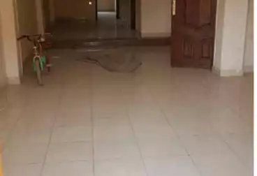 Apartments For rent - 2 rooms - floor 6