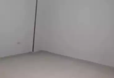 شقق للإيجار - 3 غرف - بالدور 11