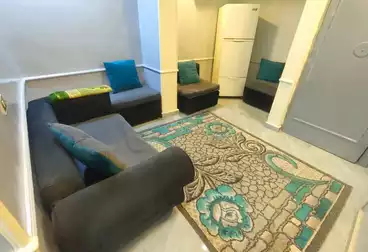 Serviced Apartments For rent - 3 rooms - floor 2