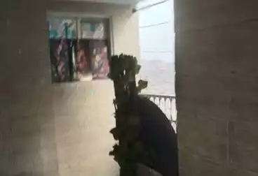 شقق للبيع - 3 غرف - بالدور 9