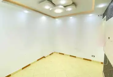 شقق للإيجار - 3 غرف - بالدور 10