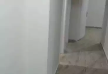 شقق للبيع - 3 غرف - بالدور 1