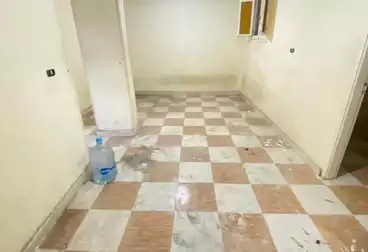 Apartments For rent - 2 rooms - floor 5