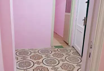 شقق للبيع - 2 غرف - بالدور 2