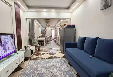 شقق للبيع - 3 غرف - بالدور 11