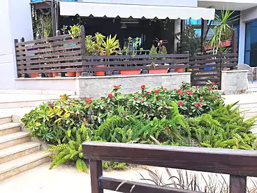 Apartment with Garden For rent - 1 rooms - floor 0