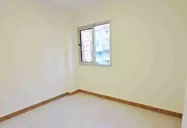 شقق للبيع - 2 غرف - بالدور 2