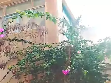 منزل / بيت للبيع - 8 غرف