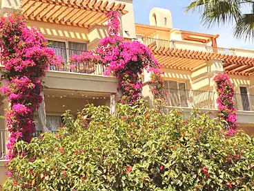 Apartments For sale - 2 rooms - floor 1