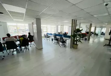 عقارات للإيجار - 17 غرف - بالدور 2