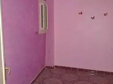 Properties For rent in Tersa St., El Talbeya, 100 sqm
